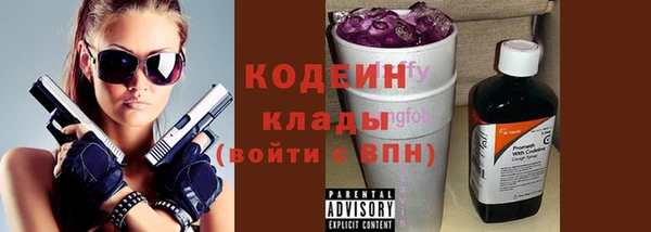 мдпв Дмитров