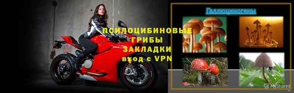 мдпв Дмитров