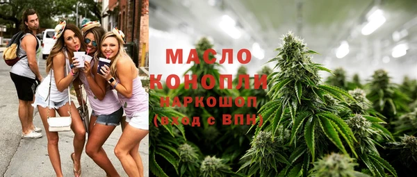 мдпв Дмитров