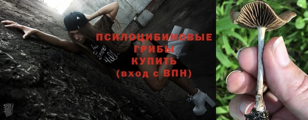 мдпв Дмитров