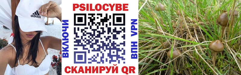 Псилоцибиновые грибы MAGIC MUSHROOMS  Купить  Камызяк 